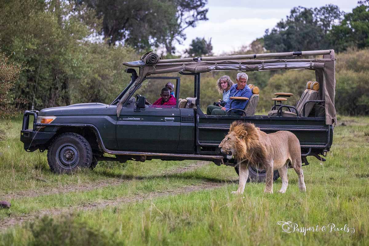 Kenya-safari-holiday_Mara-Day-2_R5-974_pp